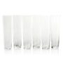 Flora Etched Flute, Set of 6 Assorted